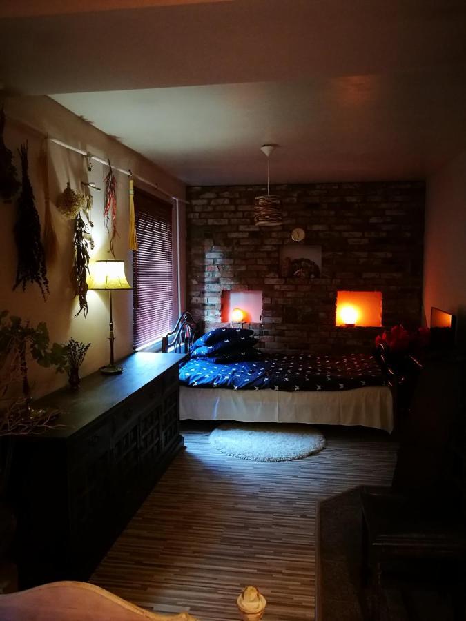 Appartement Pas Ligita à Biržai Extérieur photo